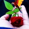 ashrafali9396