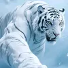 catvilla390