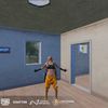 azpmaque2