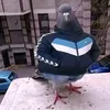 _dyfdiyd