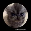 tiny080821