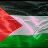 free.palestine5734