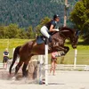 _lisascheiber_
