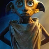 dobby_mylife