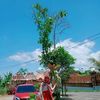 fhiethree24