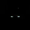 sn167rl