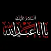ameeralaraqi3