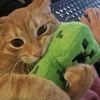 bear__playz