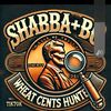 shabbas_fundamentals