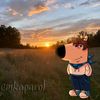 lolafan34