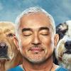 Cesar Millan