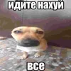 vtankejivy