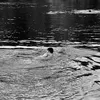 NARKO9