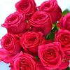 imranaslam75