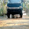 nguyencam811