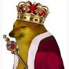 dontorbe
