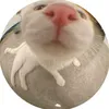 mellow_marsh