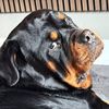 rottie_itachi