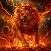 taleh____musayev