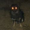 rai_fury