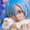 ren_cos