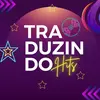 traduzindo.hits