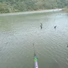 trắng đổi tên