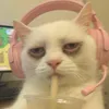 blanchecoleenb