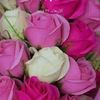 hanafkbyahoo.com3
