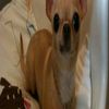 kayra.luv_2