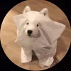 bonehe16
