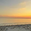 gipisa_