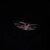abid_eddine
