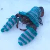 dressed_lobster