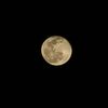 renownedmoon