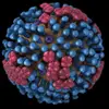 nottheinfluenza