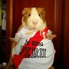 TODO DE CERCA PERU