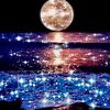 mshal_1234