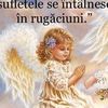 alinasurugiu2