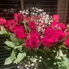 fifi_1113