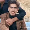 apidinkhani1