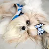 Lilica Shihtzu