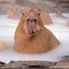 capybara1001010