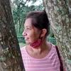 eliartesa