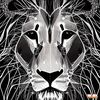 michael48939