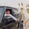 suad_511
