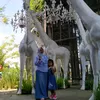 wynda_dheefa