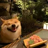 k98sec
