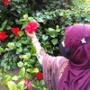 sadia.sultana812