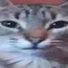 1ts_4m1n3